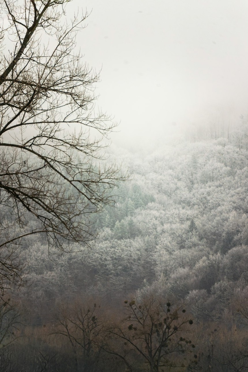 Vue panoramique de Banská Bystrica avec ses bâtiments historiques