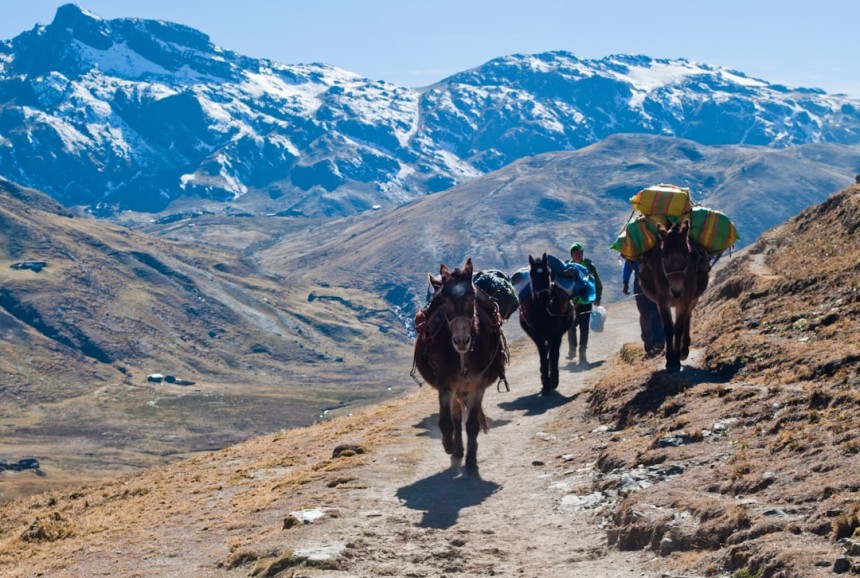 Excursion dans les Andes